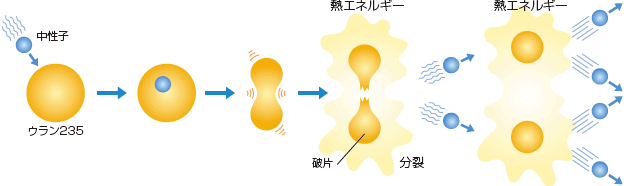 核分裂のしくみ