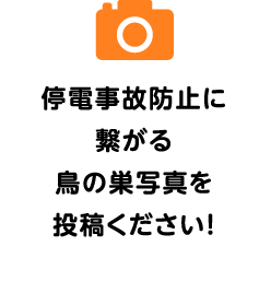 停電事故防止に繋がる鳥の巣写真を投稿ください！